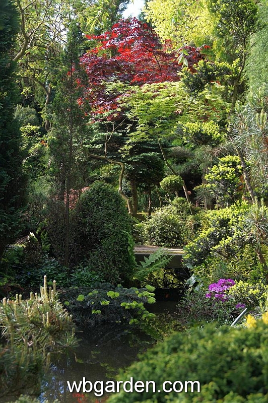 wbgarden spring 34.JPG